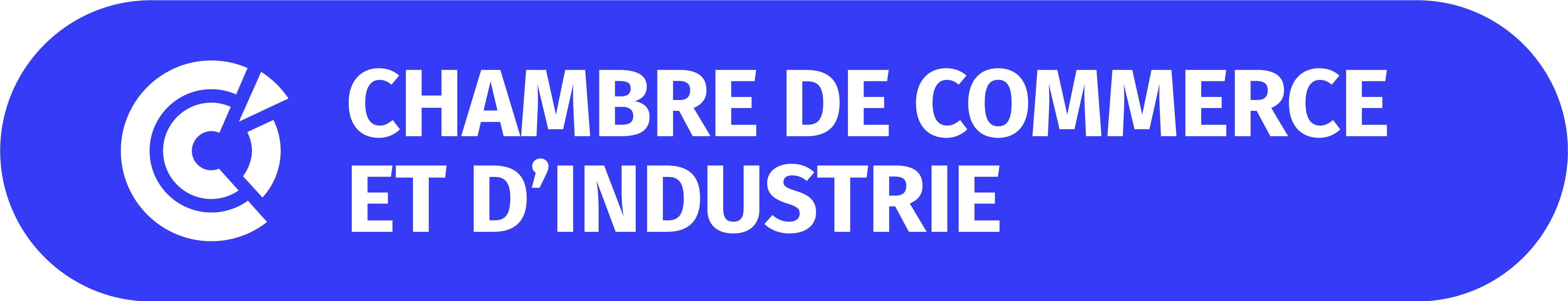 Logo Chambre de Commerce et d'Industrie